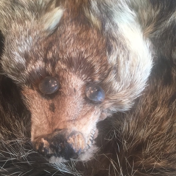 Vintage fur hand muff. Unique - Picture 6 of 6